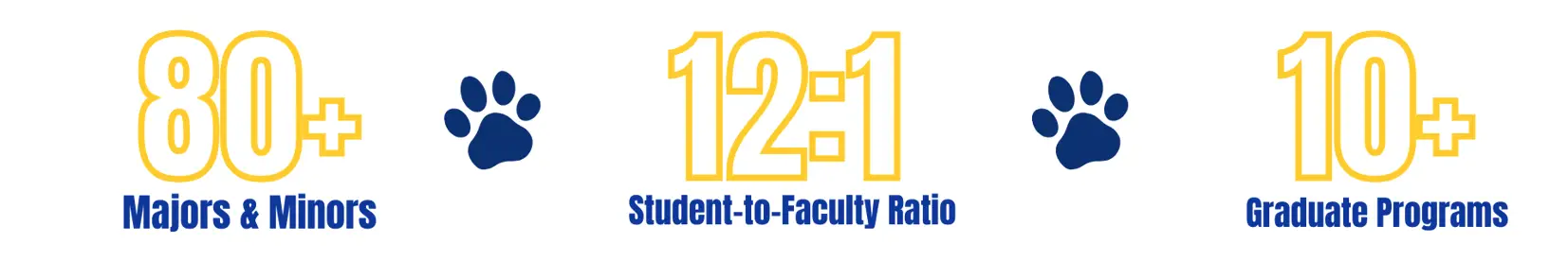 Infographic showing 80+ majors and minors, a 12:1 student–faculty ratio, and 10+ graduate programs with blue paw print icons.