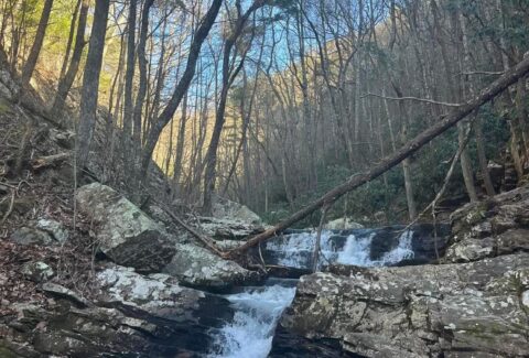 outdoor club goes hiking in mountains of Cherokee Forest