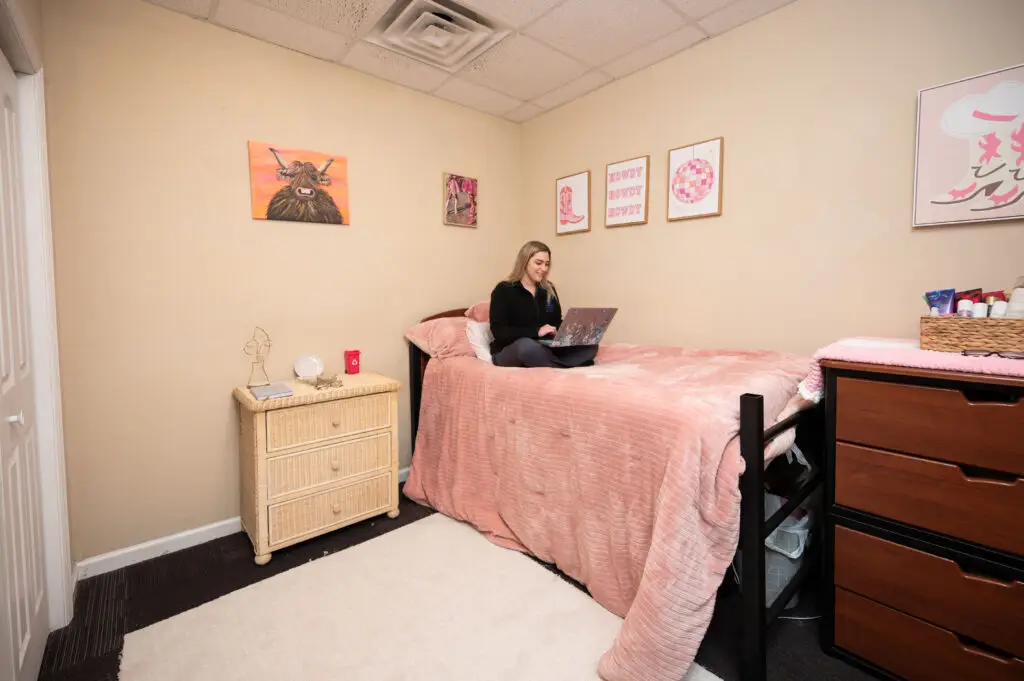 Person sits on a pink bed with a laptop in a cozy beige bedroom decorated with wall art and a dresser nearby.